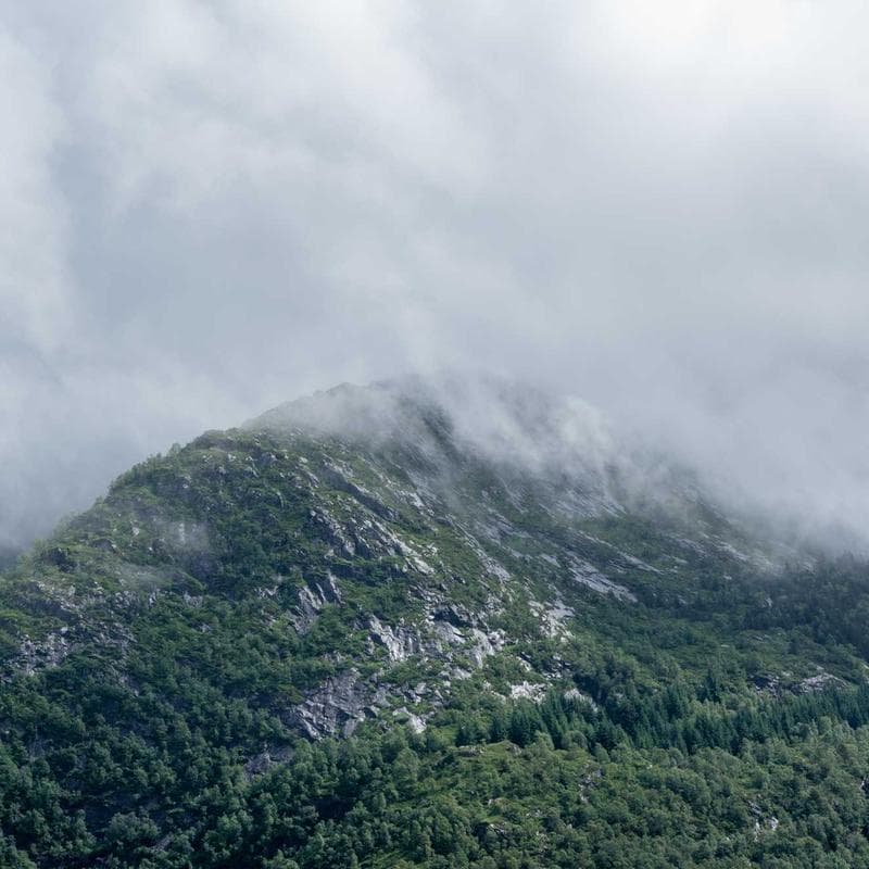 Spigen Tough Armor Galaxy A55 tok