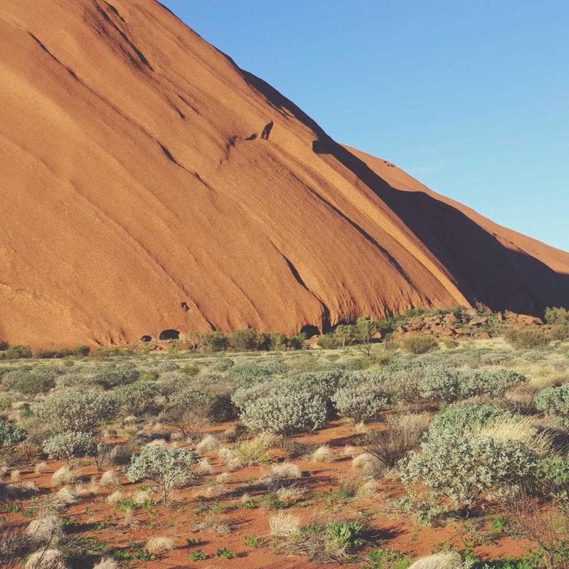 Galaxy S24 Ultra UV üvegfólia