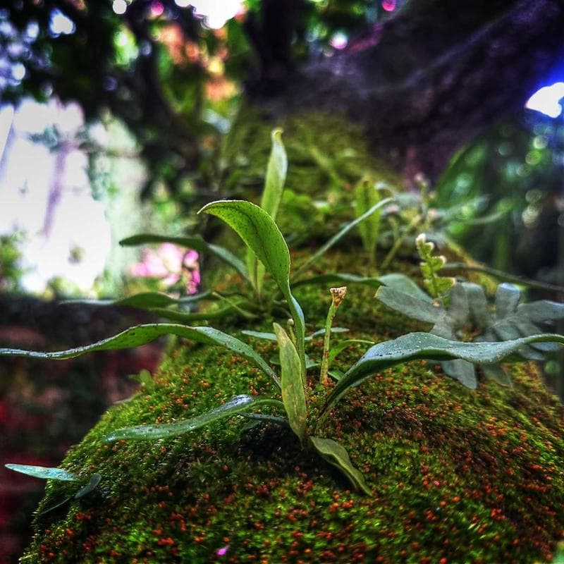 Anker PowerLine III USB-C kábel 1.8m